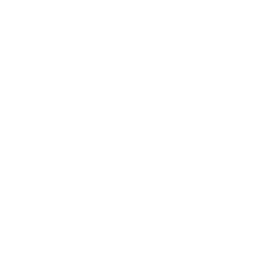 Seiko-logo