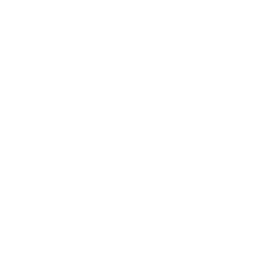 giannotti-logo