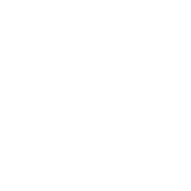 nardelli-logo